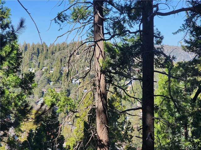Mountain ridgeline views