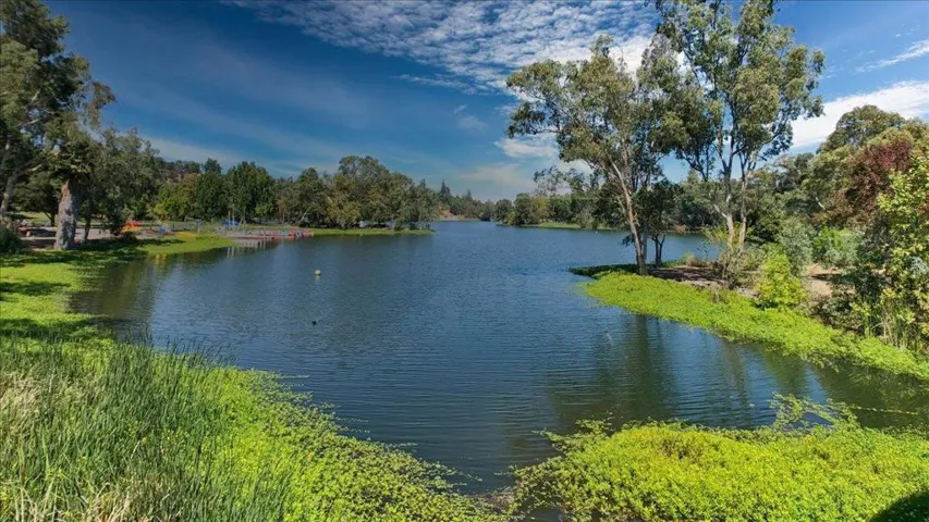 101 Ravinia Way, Los Gatos, California 95032