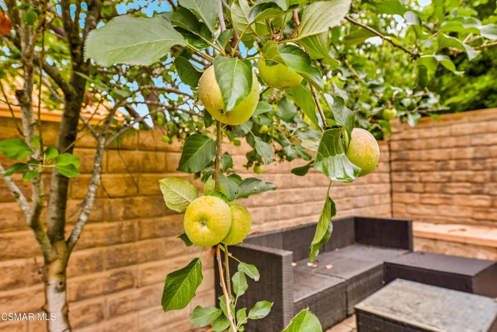 4305 Crabapple Court, Moorpark, California 93021 home-pic-43