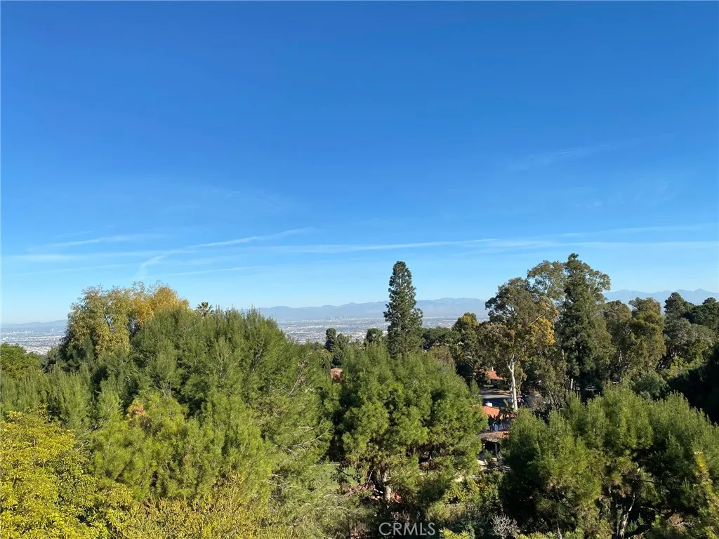 2229 Via Cerritos, Palos Verdes Estates, California 90274 home-pic-43