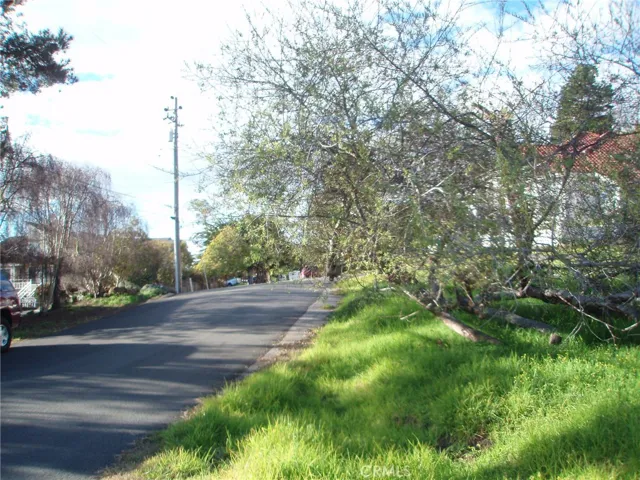 Looking North