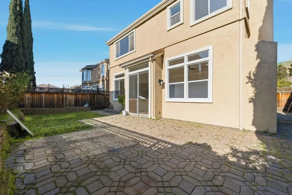 Primary Backyard