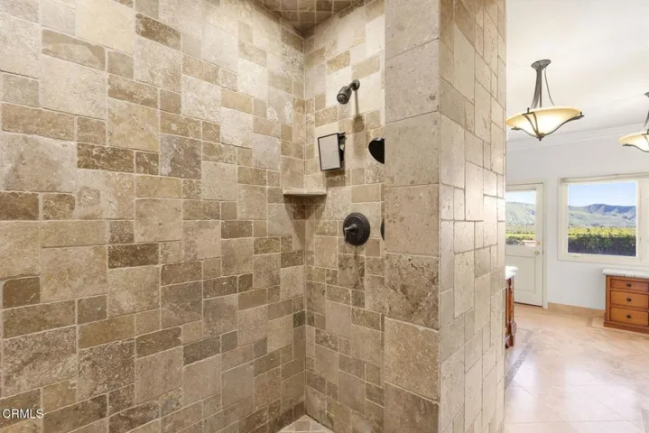 Primary Shower