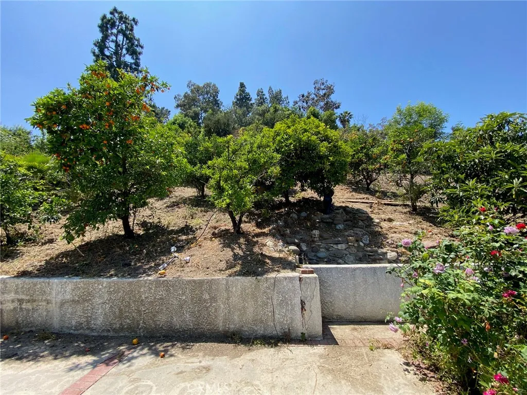 5323 Del Moreno Drive, Woodland Hills, California 91364 home-pic-19