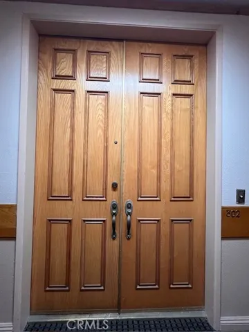 Beautiful entry door into condo