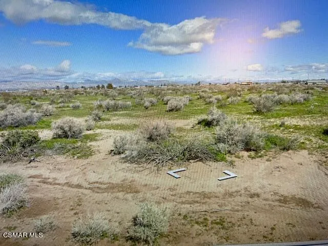 Lot 75 Photo
