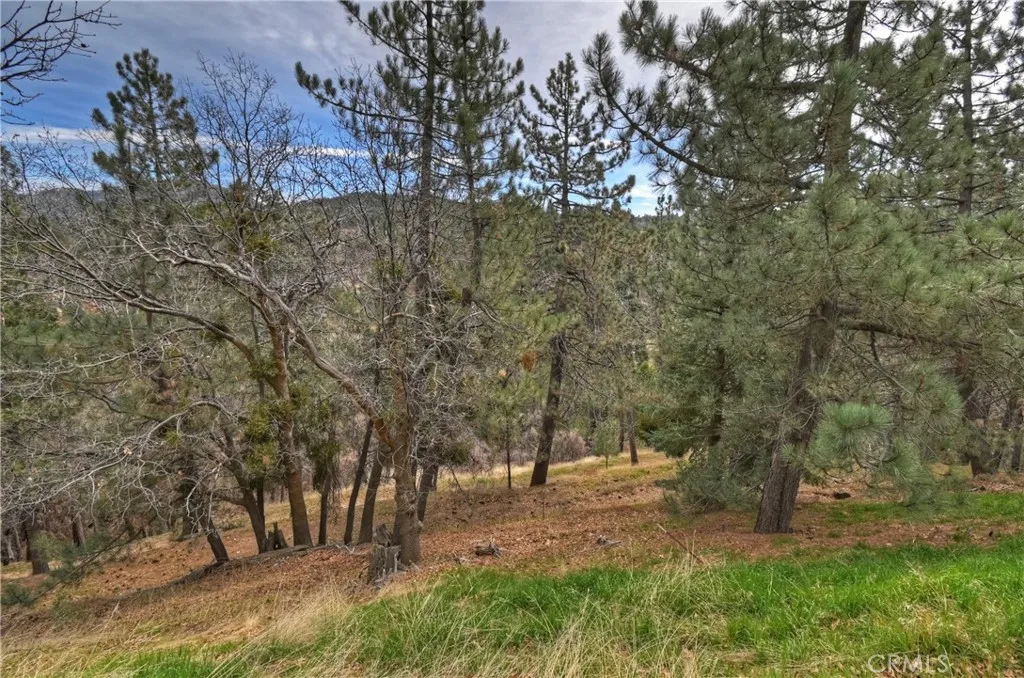 32047 Pine Cone, Running Springs, California 92382 home-pic-43