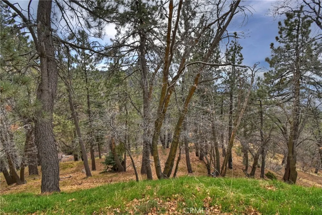 32047 Pine Cone, Running Springs, California 92382 home-pic-45