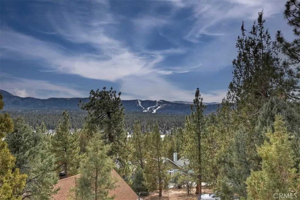 1051 Mound, Big Bear City, California 92314 home-pic-52