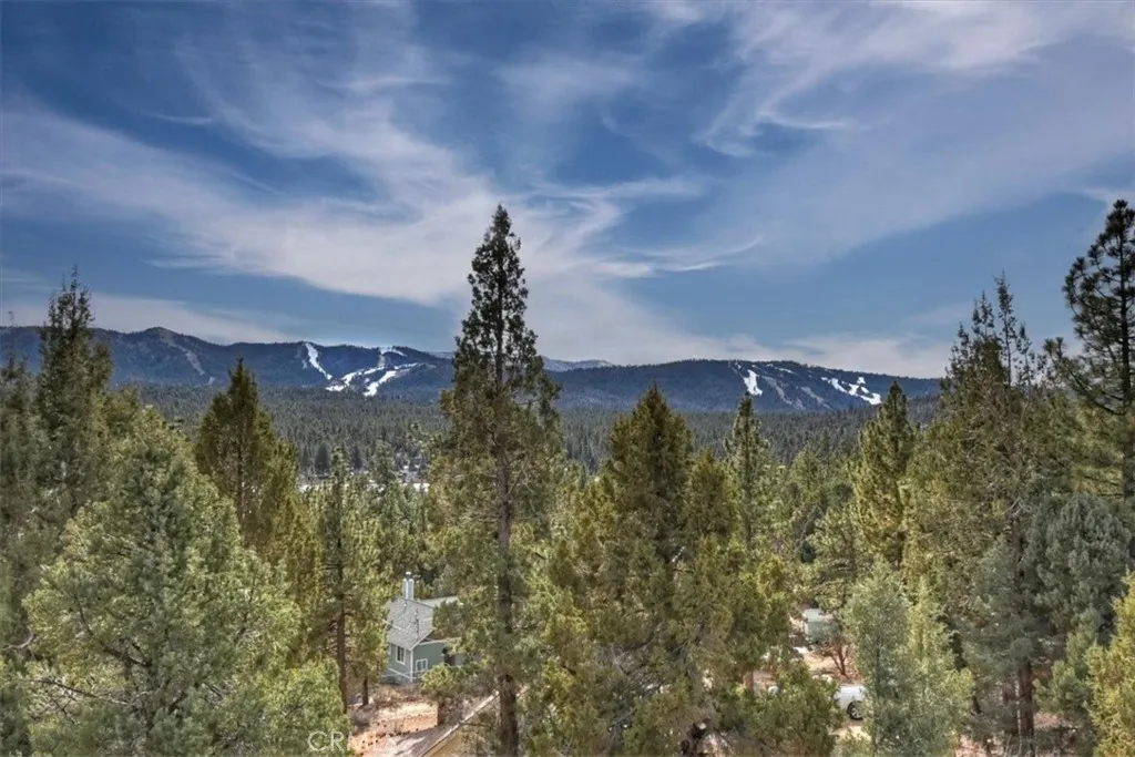 1051 Mound, Big Bear City, California 92314 home-pic-30
