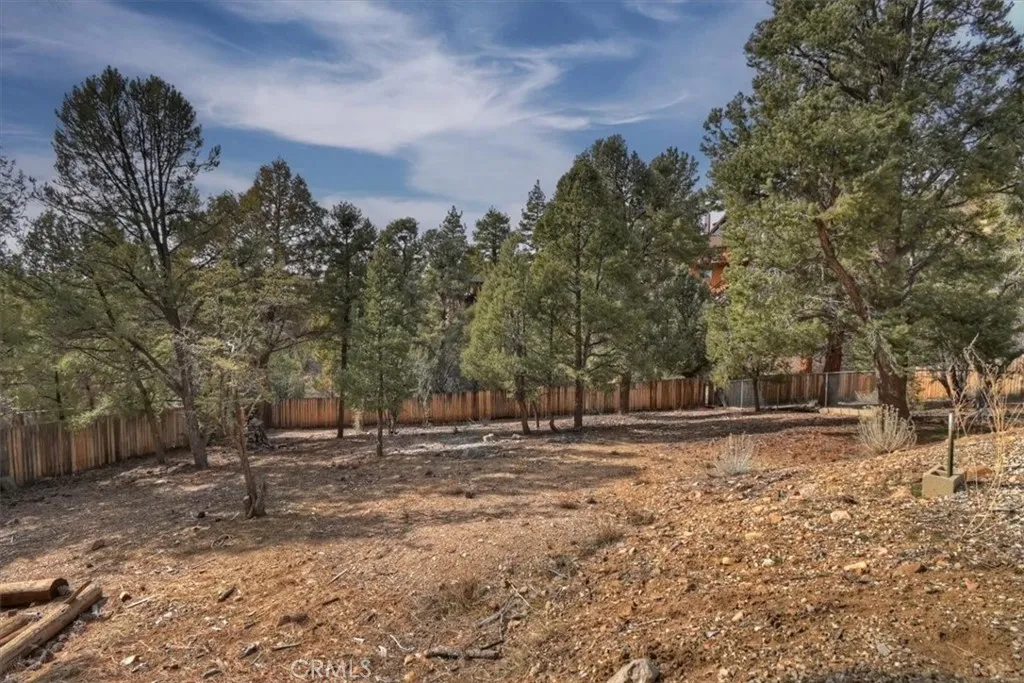 1051 Mound, Big Bear City, California 92314 home-pic-57
