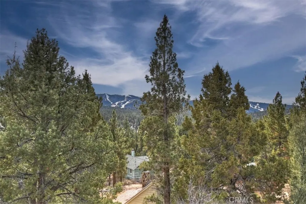 1051 Mound, Big Bear City, California 92314 home-pic-49