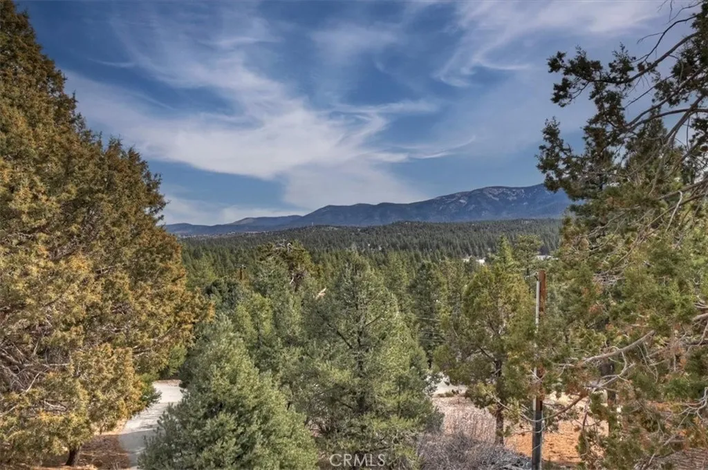 1051 Mound, Big Bear City, California 92314 home-pic-54
