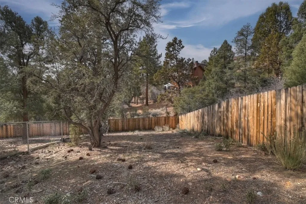 1051 Mound, Big Bear City, California 92314 home-pic-58