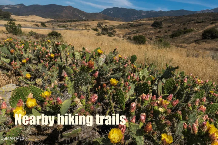 27015881645_8e24237de5_o copy