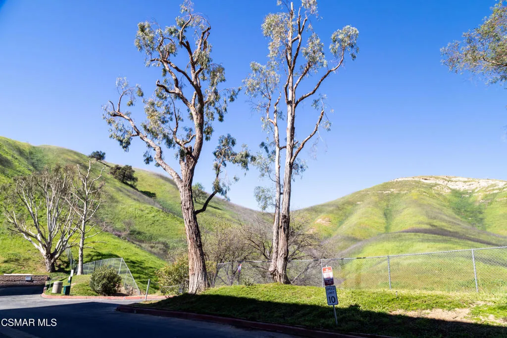 26000 Alizia Canyon Drive D, Calabasas, California 91302 home-pic-30