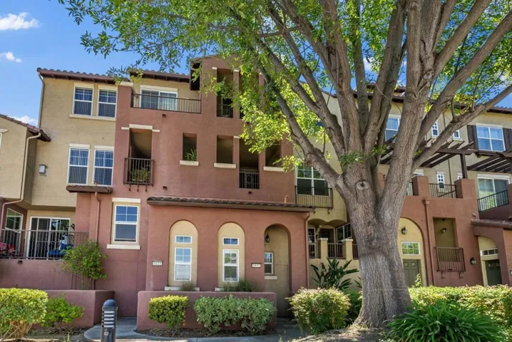 1437 Marcello Drive, San Jose, California 95131