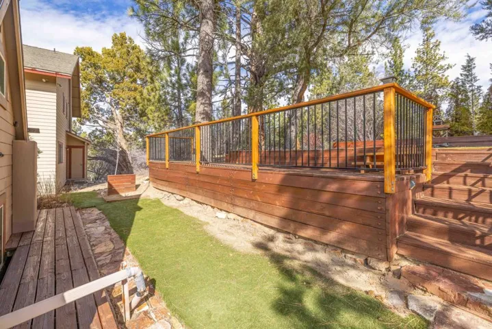 Backyard1-