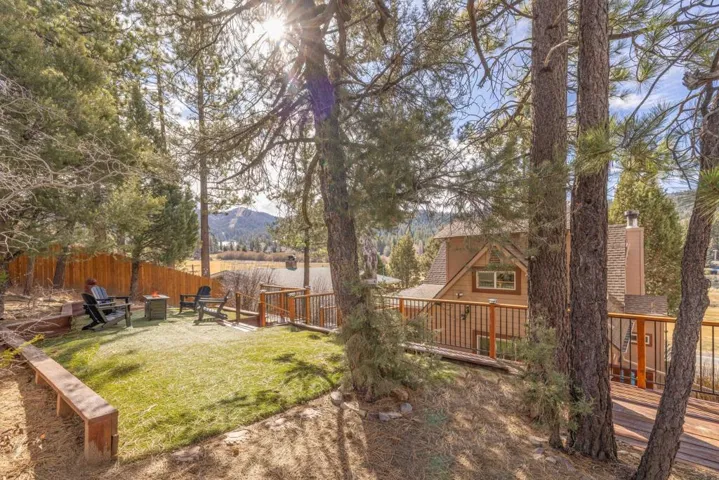 Backyard9-