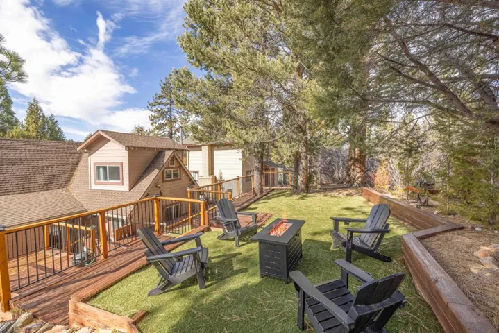Backyard6-