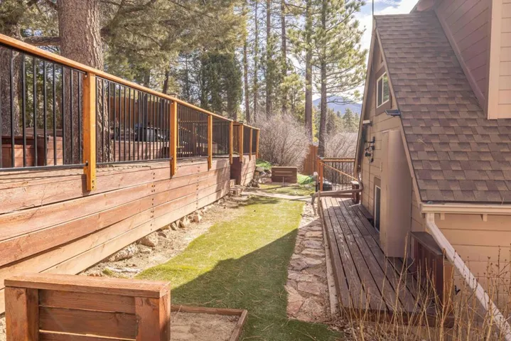 Backyard2-3929