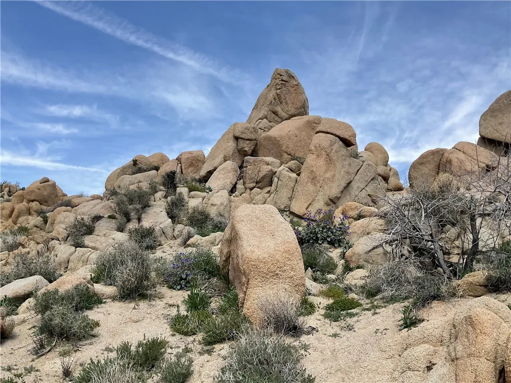 57710 Bandera, Yucca Valley, California 92284 home-pic-4