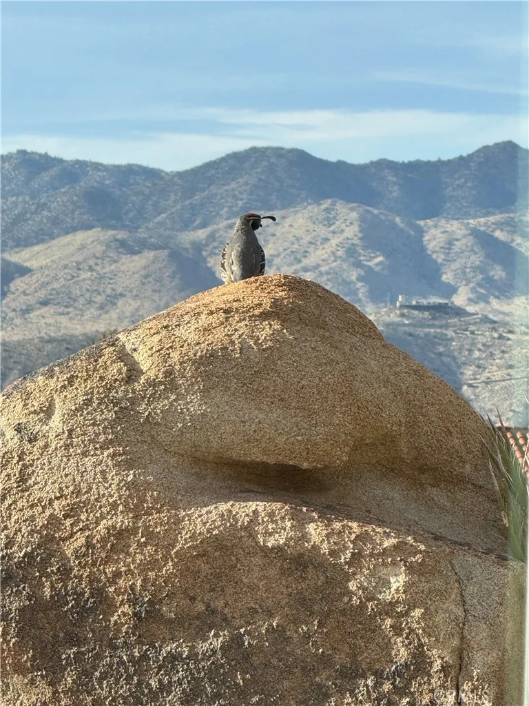 57710 Bandera, Yucca Valley, California 92284 home-pic-36