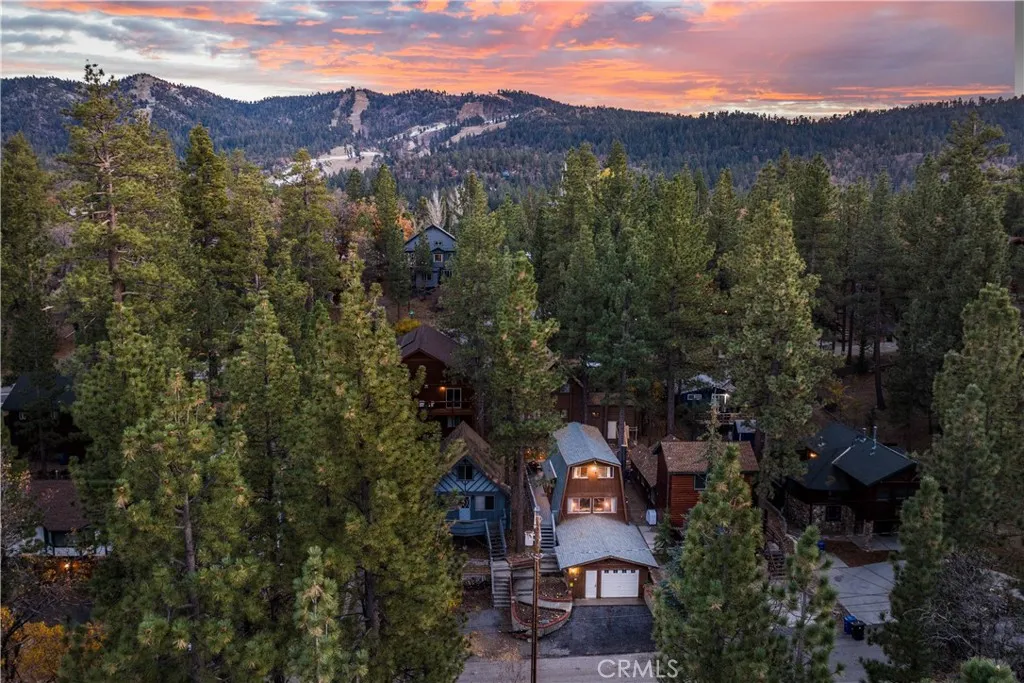 1130 Vine Avenue, Big Bear City, California 92314 home-pic-15