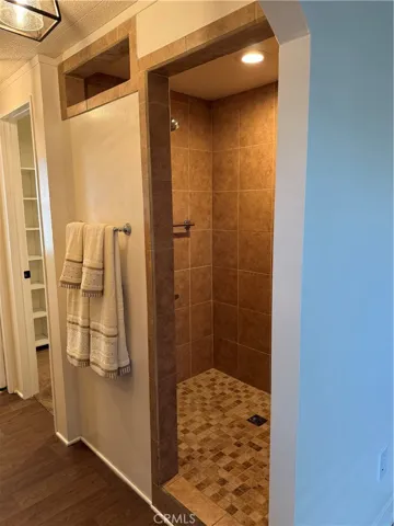 Walk-in Primary Shower