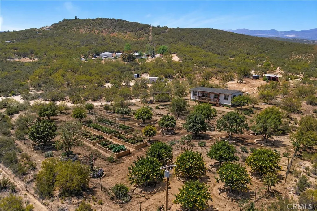 54075 Glenda, Anza, California 92539 — photo 4