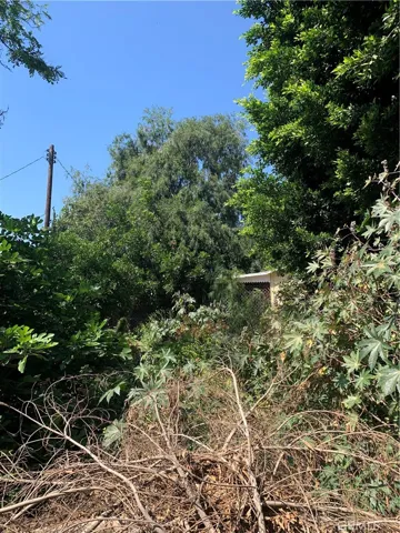 More land behind garage
