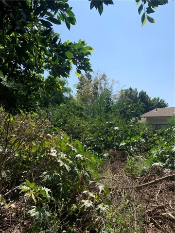 Land behind house behind garage