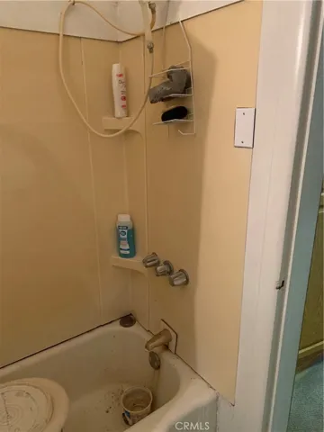 Bathtub inside Bathroom - handheld shower