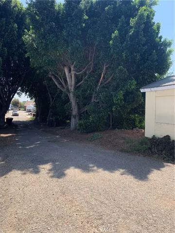 Behind Garage