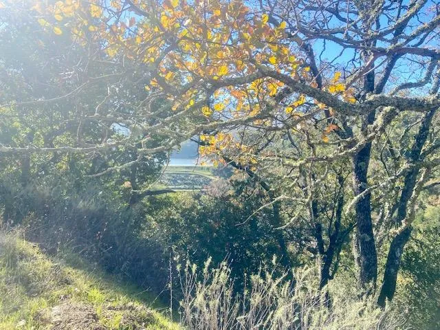 0 Cinnabar Hills Road, San Jose, California 95120 — photo 4