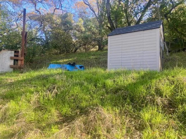 A storage shed with shelves near the skate ramp