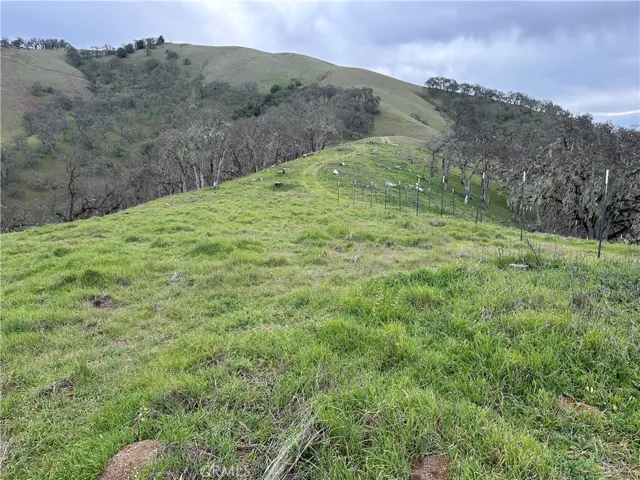 Fun hike from the bench up to the summit of Pine Mountain. Listing agent has done this several times.