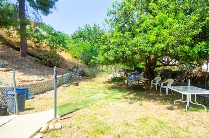 backyard summer