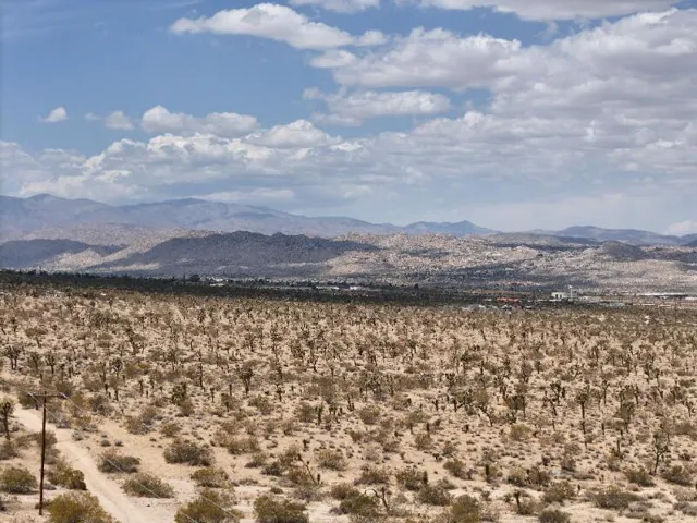 DJI_20250501122404_0133_D