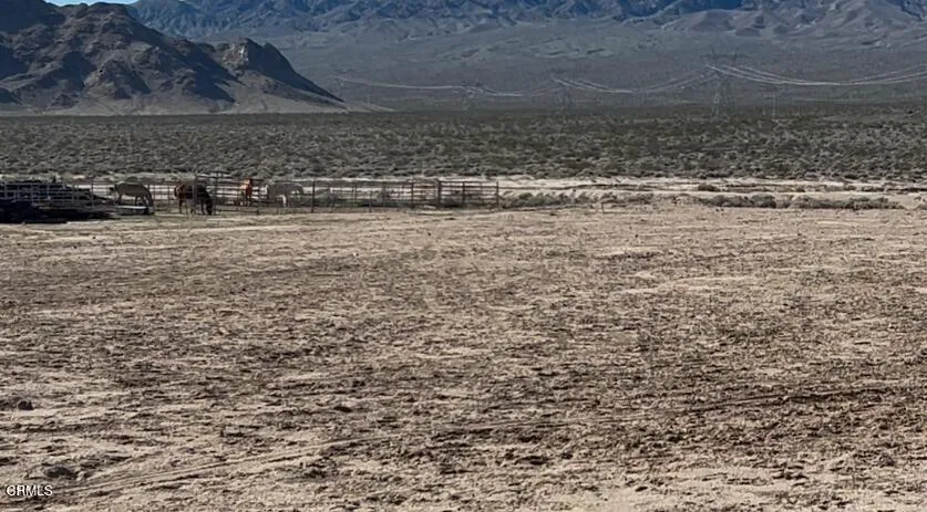 Horse Ranch behind Property