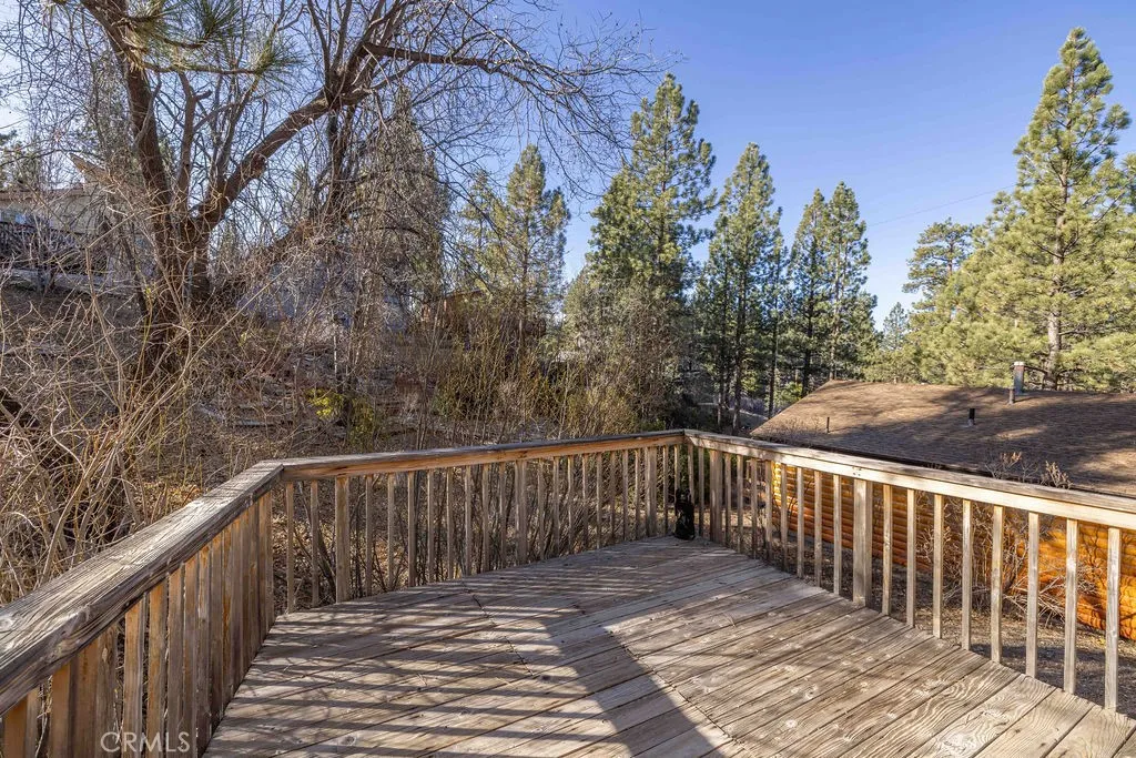 40193 Dream Street, Big Bear Lake, California 92315 home-pic-21