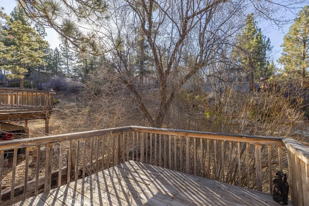 40193 Dream Street, Big Bear Lake, California 92315 home-pic-22