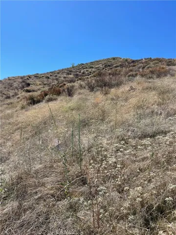 TOP HILL