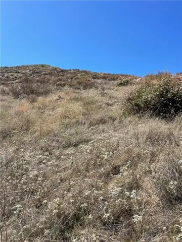 TOP HILL