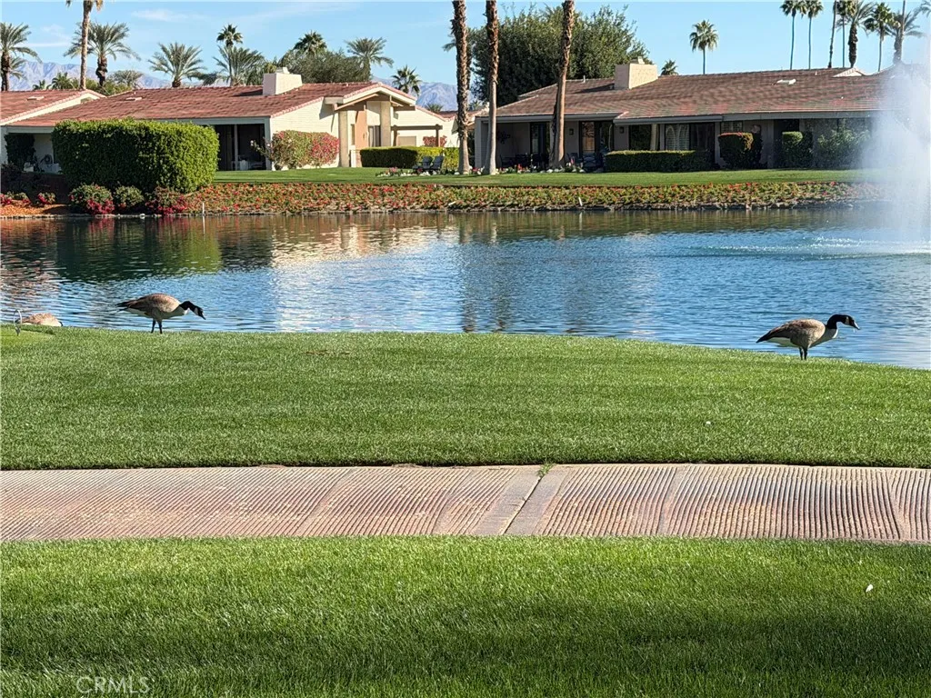 44812 Del Dios Cir, Indian Wells, California 92210 home-pic-2