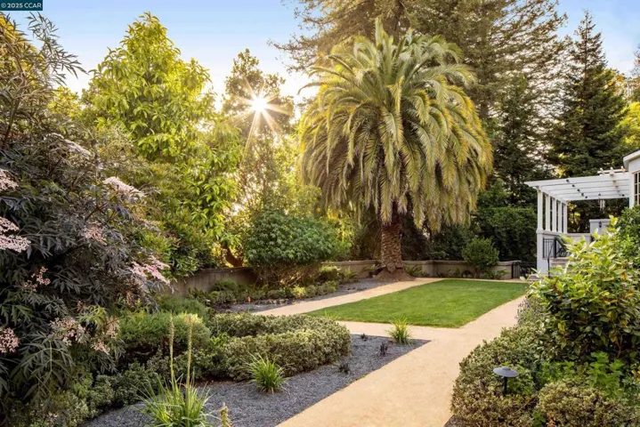 25 25 Crocker Ave, Piedmont, California 94611