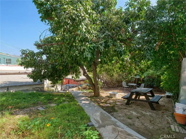 Back house front yard
