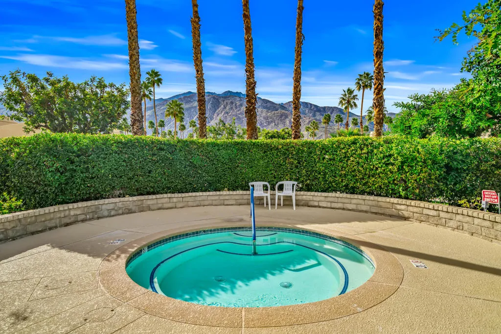 1456 Tiffany Circle N, Palm Springs, California 92262 home-pic-28