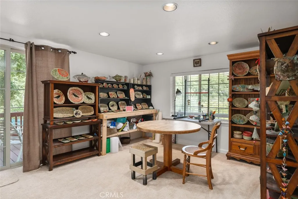 Lower level living room/bonus room