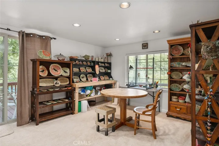 Lower level living room/bonus room